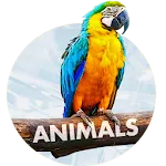 Animals Wallpapers for phone | Indus Appstore | App Icon