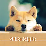 Shiba Sight Theme | Indus Appstore | App Icon