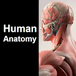 Human Anatomy Quiz | Indus Appstore | App Icon