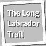 Book, The Long Labrador Trail | Indus Appstore | App Icon