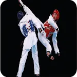 Taekwondo Techniques | Indus Appstore | App Icon