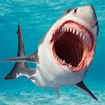 Shark 3D | Indus Appstore | App Icon