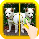 Find Spot The Difference #20 | Indus Appstore | App Icon