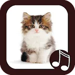 Cat Meow Real Sounds | Indus Appstore | App Icon