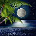 Tropical Night Live Wallpaper | Indus Appstore | App Icon