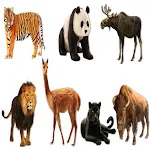 AtoZ Animal Nameapp icon