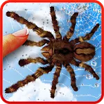 Spider, live wallpaper | Indus Appstore | App Icon