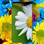 Flower Wallpapers - HD & 4K | Indus Appstore | App Icon