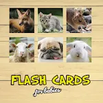 Flash Cards | Indus Appstore | App Icon