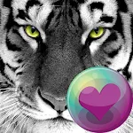 Big Cats HD Wallpapers | Indus Appstore | App Icon