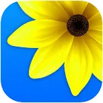 Gallery - Photos | Indus Appstore | App Icon