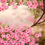 Spring Flowers Live Wallpaper | Indus Appstore | App Icon