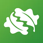 Tree ID - British trees | Indus Appstore | App Icon