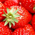 Strawberry Wallpapers | Indus Appstore | App Icon