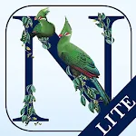 Newman's Birds LITE | Indus Appstore | App Icon