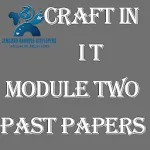 craft in IT mod 2 past papers | Indus Appstore | App Icon