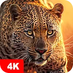 Animal Wallpapers 4K | Indus Appstore | App Icon