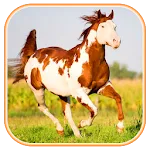 Horse Wallpapers | Indus Appstore | App Icon