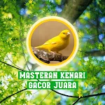 Masteran Kenari Gacor Juara | Indus Appstore | App Icon