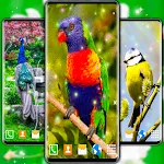 Bird Parrots HD Live Wallpaper | Indus Appstore | App Icon