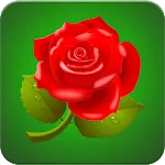 Rose Wallpaper HD | Indus Appstore | App Icon