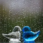 Rainy Day-Relaxing Rain Sounds | Indus Appstore | App Icon