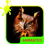 Owl Animated Keyboard + Live W | Indus Appstore | App Icon