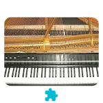 Electric Grand Piano *Plugin* | Indus Appstore | App Icon