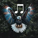 Animal and bird sounds | Indus Appstore | App Icon