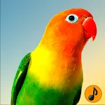 Cantos de Agapornis | Indus Appstore | App Icon