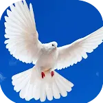 Musica cristiana Alabanzas | Indus Appstore | App Icon