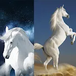 Horse Wallpapers 4K | Indus Appstore | App Icon