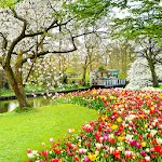 Beautiful Garden Wallpaper | Indus Appstore | App Icon