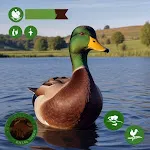 Ultimate Duck Family Sim | Indus Appstore | App Icon