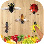 Ant Smasher 2d | Indus Appstore | App Icon