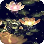 Lotus Lantern Live Wallpaper | Indus Appstore | App Icon