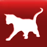 Cat Breed Auto Identify Photo | Indus Appstore | App Icon