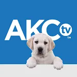 AKC.TV | Indus Appstore | App Icon