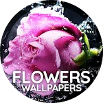 Flowers wallpaper for phone | Indus Appstore | App Icon