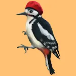 Woodpecker simulator | Indus Appstore | App Icon