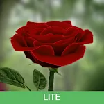 3D Rose Live Wallpaper Lite | Indus Appstore | App Icon