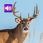 Deer: Sounds & Ringtones | Indus Appstore | App Icon