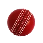 Cricket Simulator | Indus Appstore | App Icon