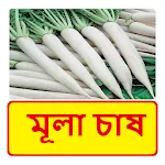 মূলা চাষ ~ Radish Cultivation | Indus Appstore | App Icon