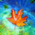 Autumn Leaves Live Wallpaper | Indus Appstore | App Icon