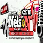 Radio Sonido Nelson 102.7 | Indus Appstore | App Icon