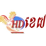 HD K7 Drama | Indus Appstore | App Icon