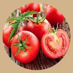 Detailed tomato cultivation | Indus Appstore | App Icon