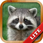 Animals for Kids | Indus Appstore | App Icon
