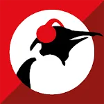 Pinguin Radio | Indus Appstore | App Icon